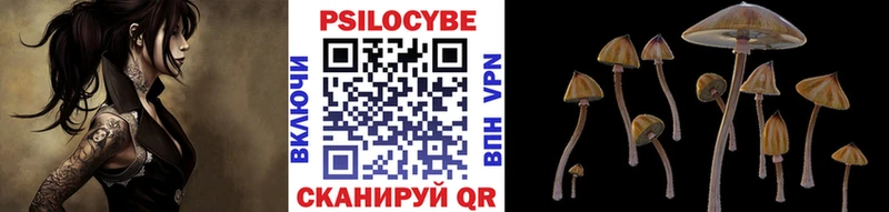 Купить  Кушва  Галлюциногенные грибы мухоморы 